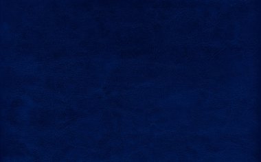 2020 'nin klasik mavi renginde deri rengi.