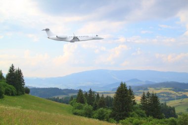 Slovakya 'da yaz ormanı, çayır ve tarlaların arka planında beyaz özel jet uçuşu.