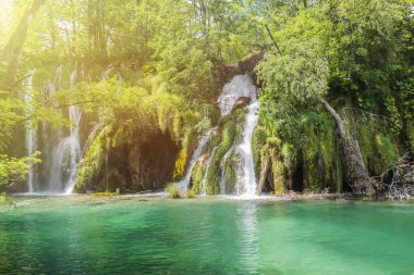 Plitvice Lakes Ulusal Parkı Hırvatistan