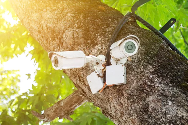 Vecchie Telecamere Bianche Videosorveglianza Esterna Cctv Installate Diverse Direzioni Facile — Foto Stock