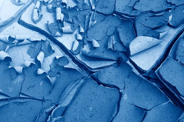 2020年のトレンディーなクラシックブルーの色で調色亀裂で発芽草と地球の乾燥亀裂表面 — ストック写真