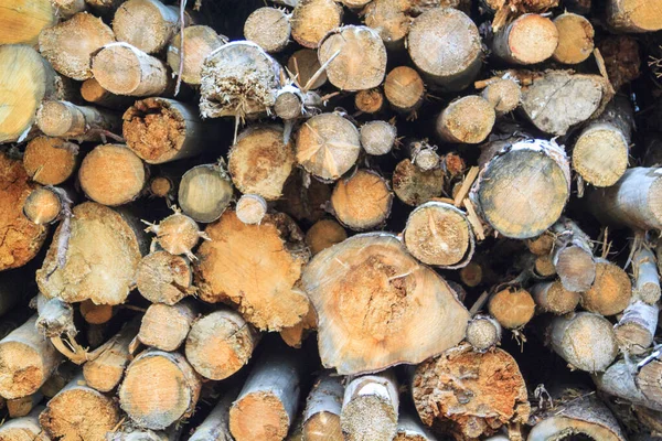 Logs Cortes Preparados Para Lareira Parede Troncos Madeira Empilhados Como — Fotografia de Stock