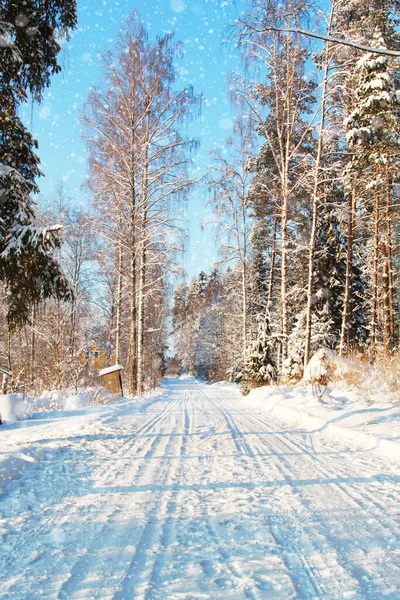 Kar Kaplı Köy Yolunda Geç Aralık Ayında — Stok fotoğraf