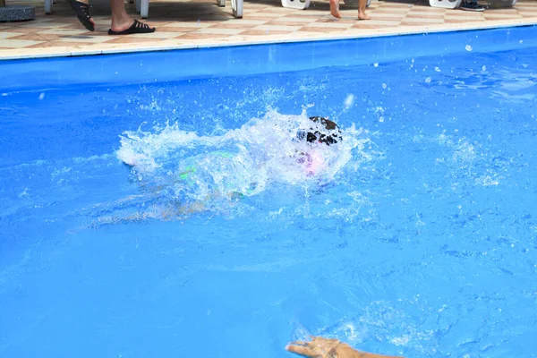 Salpicos Água Após Salto Bebê Piscina — Fotografia de Stock