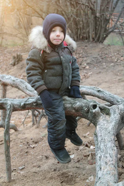 Menino Sorridente Feliz Roupas Quentes Chapéu Cobrindo Seu Pescoço Vento — Fotografia de Stock