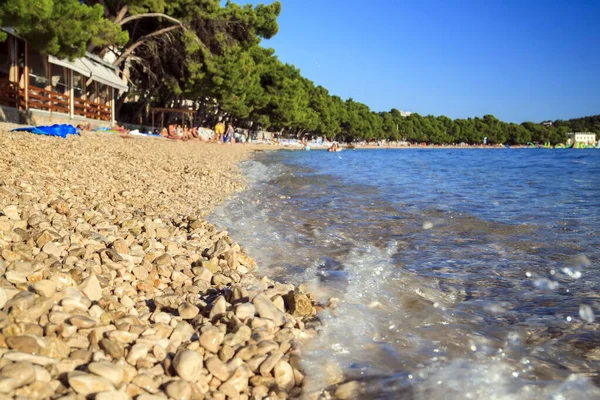 Vista Perto Seixos Resort Praia Makarska Com Pinheiros Pendurados Sobre — Fotografia de Stock