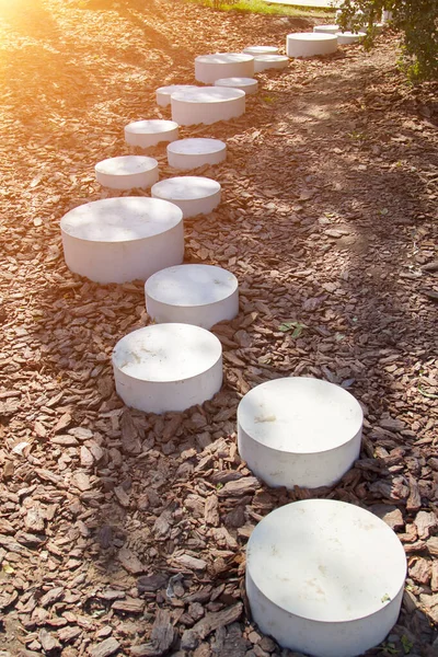 Modern Minimalist Path Stones Park Leading Ground Mulched Bark Trees — Stock Photo, Image