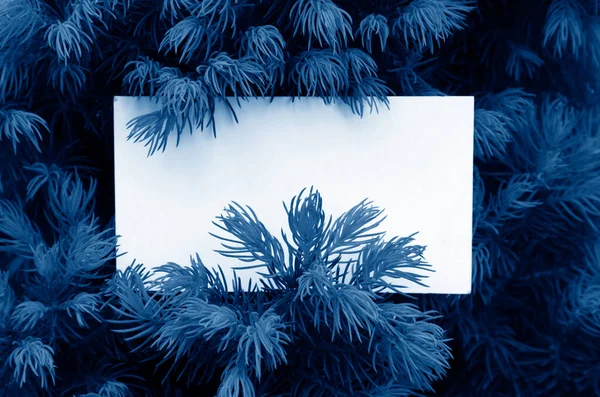 Jodła Pustą Kartą Stonowaną Modnym Kolorze Classic Blue Roku 2020 — Zdjęcie stockowe