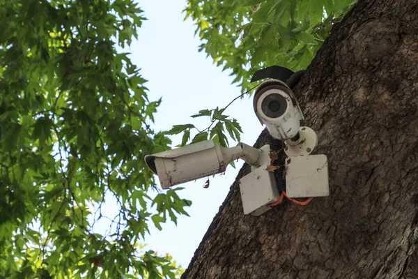 为方便监测公园内的秩序 在多个方向安装了旧的户外监控摄像头 Cctv — 图库照片