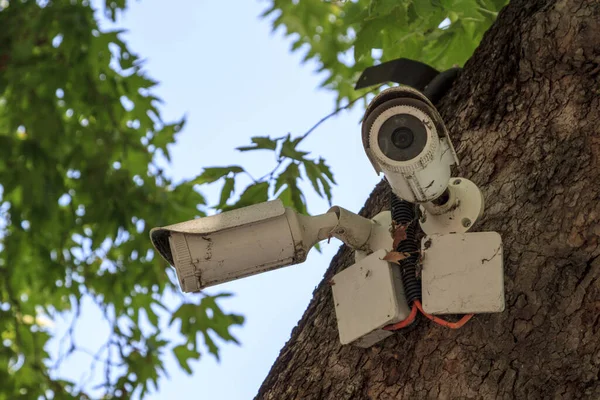 Старые Белые Наружные Камеры Видеонаблюдения Cctv Установлены Нескольких Направлениях Легкого — стоковое фото