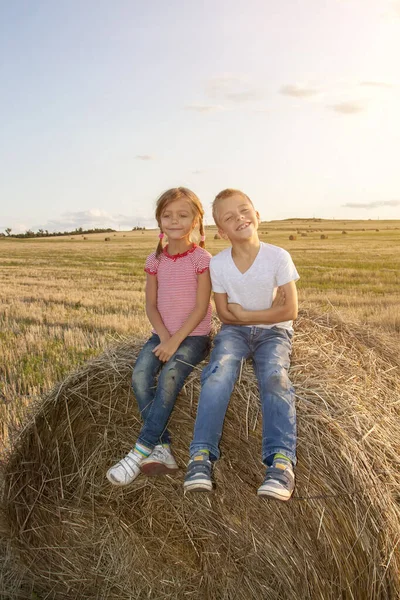 stock image happy children sitting on haystack at sunset. kids, girl with boy sitting in field