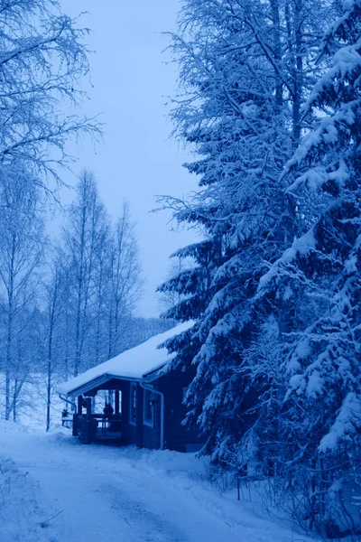 Chalet Bois Dans Forêt Hiver Recouvert Neige — Photo