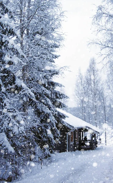 Wooden Cottage Winter Forest Covered Snow — Stock Photo, Image