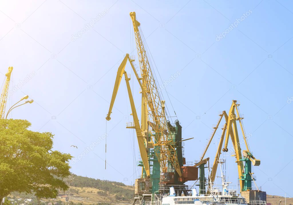 sea port view with multicolored cranes