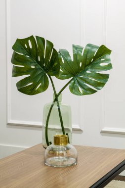Monstera, zarif bir iç mekanda, ahşap bir masanın üzerinde cam bir vazoda yapraklar bırakır.