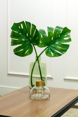 Monstera, zarif bir iç mekanda, ahşap bir masanın üzerinde cam bir vazoda yapraklar bırakır.