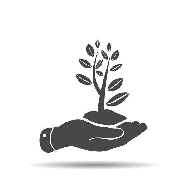 Icono Mano Que Encarga Planta Que Brota Tierra Concepto Cuidar — Vector de stock