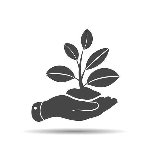 Hand Pictogram Dat Zorgt Voor Plant Ontspruiten Uit Grond Begrip — Stockvector