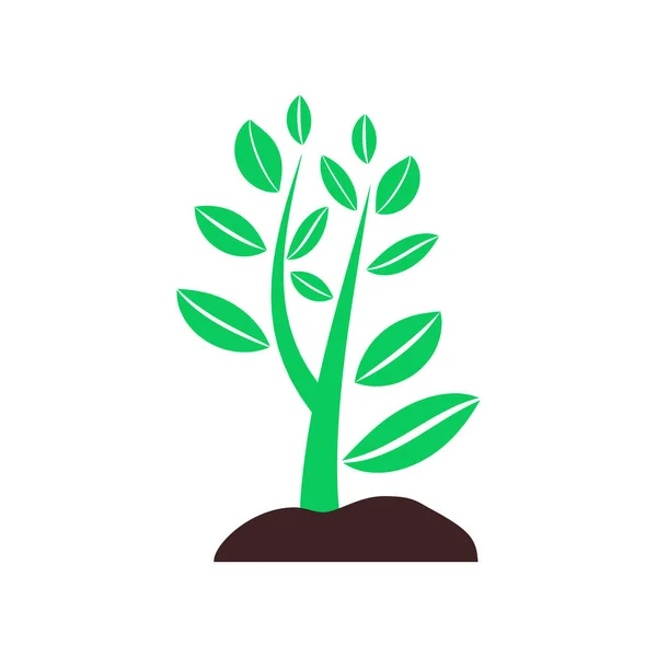 Plante Poussant Partir Sol Symbole Écologie Sensibilisation Environnement — Image vectorielle