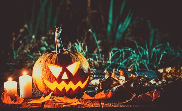 Calabaza brillante en la oscuridad —  Fotos de Stock