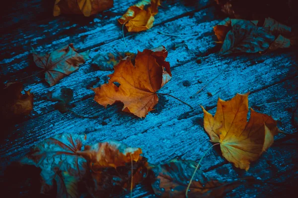 Mystérieux fond d'automne — Photo