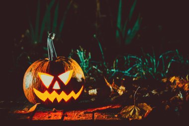 Karanlıkta parlayan kabak