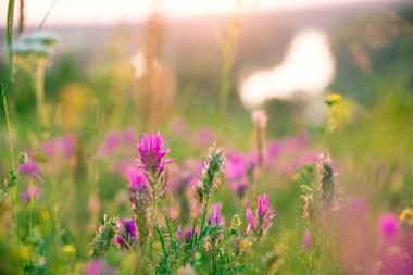 Güzel manzara gündoğumu