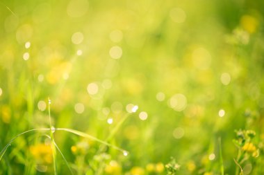 Sabah Manzara gündoğumu