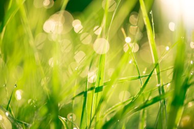 Sabah Manzara gündoğumu