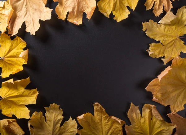 Herfst achtergrond met realistische maples — Stockfoto