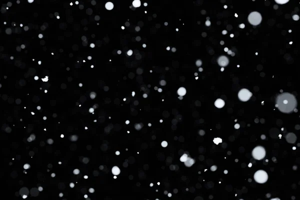 Chute de neige sur noir — Photo