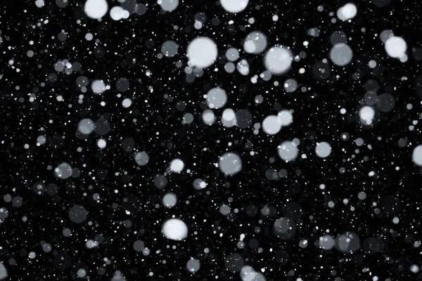 Падение снега на черный — стоковое фото