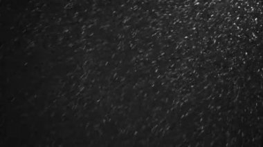 Kar yağışı gece kışın arka plan 