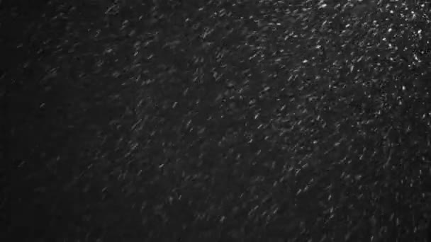 Contexte des chutes de neige la nuit hiver — Video