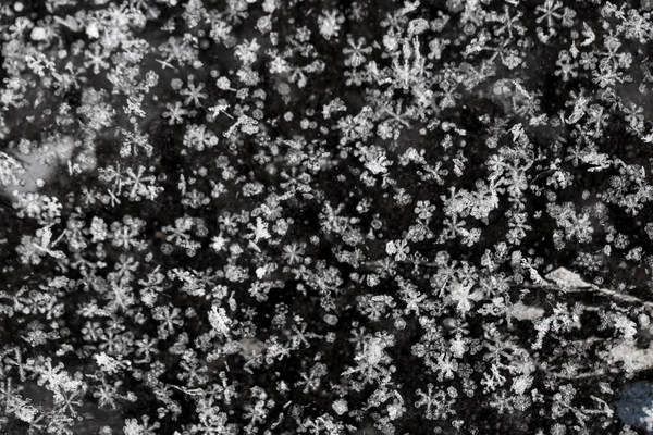 Christmas white snowflakes — Stock Photo, Image