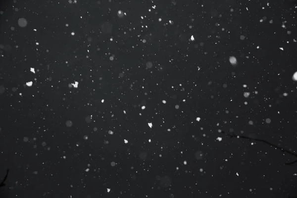 Sluiten van vallende sneeuw — Stockfoto