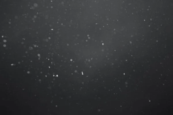 Fallande snö nära — Stockfoto