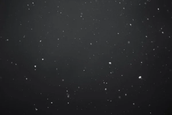 Nieve cayendo de cerca — Foto de Stock