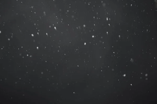 Nieve cayendo de cerca —  Fotos de Stock