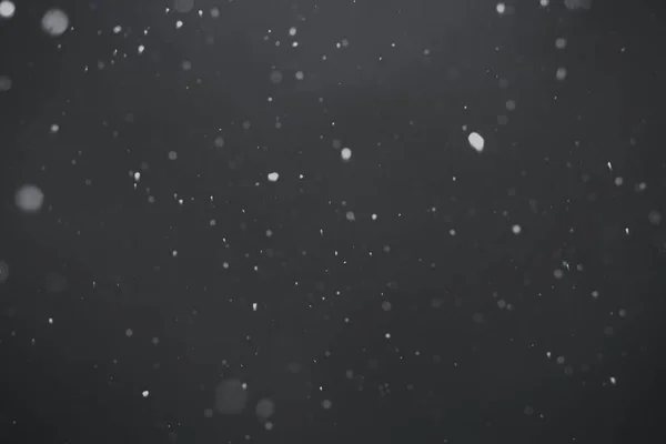Falling snow close up — Fotografie, imagine de stoc