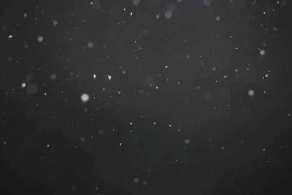 Nieve cayendo de cerca —  Fotos de Stock