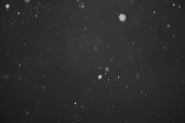 Падаючий сніг крупним планом — стокове фото