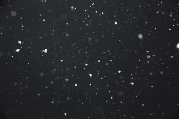 Falling snow on black background — Stock Photo, Image
