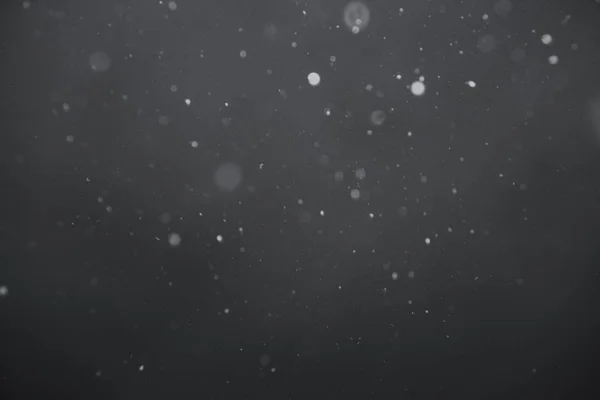 Падение снега на черном фоне — стоковое фото