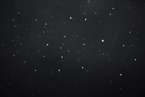 Chute de neige sur fond noir — Photo
