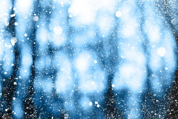 흐린된 겨울 풍경 — 스톡 사진