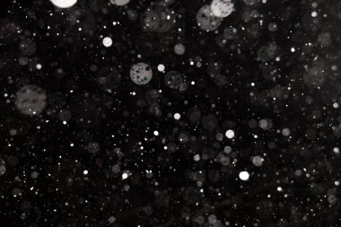 Siyah arkaplana düşen kar