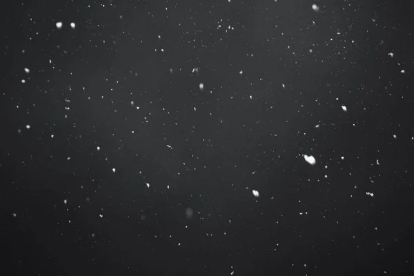 Queda de neve no fundo preto — Fotografia de Stock