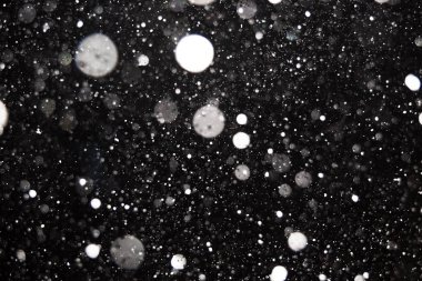 Siyah arkaplana düşen kar