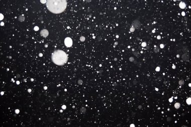 Siyah arkaplana düşen kar